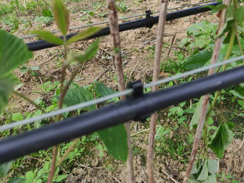 crevo-za-navodnjavanje-kap-po-kap-fi-16-1