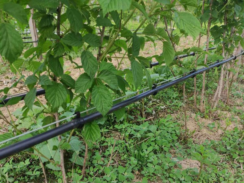 crevo-za-navodnjavanje-kap-po-kap-fi-16-2