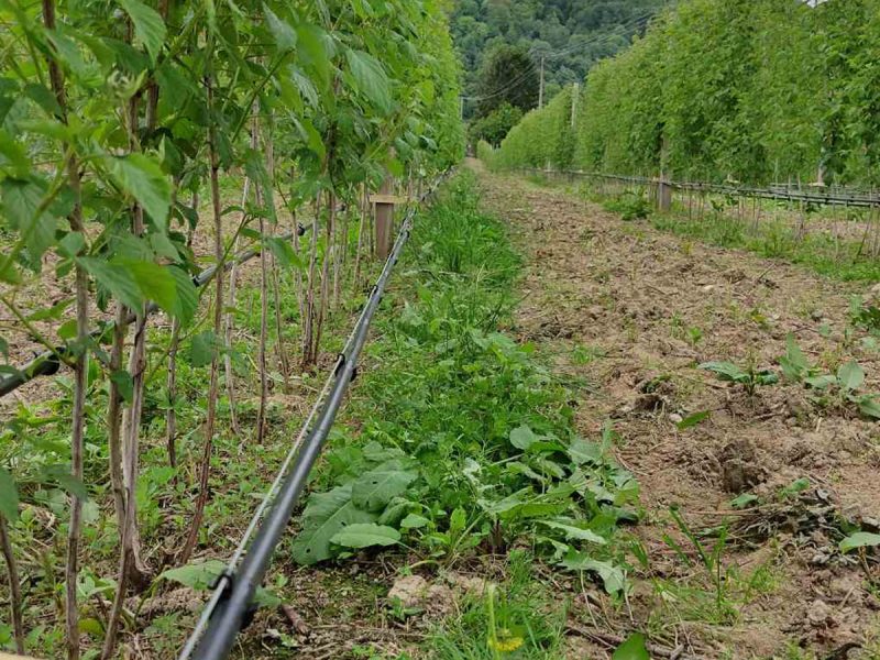 crevo-za-navodnjavanje-kap-po-kap-fi-16-3